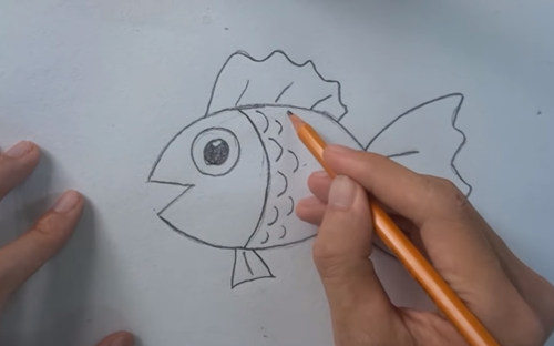 Hướng dẫn vẽ con cá